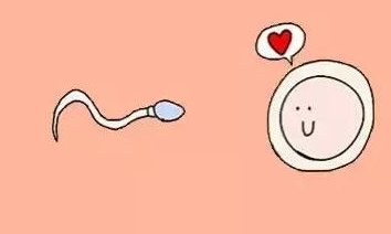 兰州陆军总院生殖中心的杜晓平医生做试管怎么样？