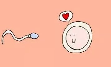 女性有染色体罗氏易位在榆林市做试管养囊成功率高吗？试管移植后需要保胎吗！