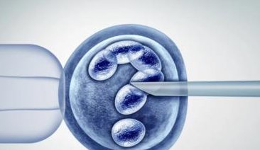 2026做武汉第三代试管婴儿成功率是多少？