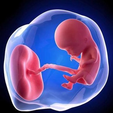 5个因素会影响备孕！备孕注意事项知多少？