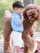 2026在抚州市做基因检测多少钱？基因筛查可以规避哪些遗传病？