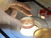 2026台湾正规试管婴儿医院排名一览，附台湾试管优势介绍