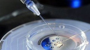 染色体易位在解放军总医院第七医学中心可以做三代试管吗？染色体平衡易位还能生健康的宝宝吗？